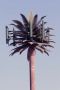13JoshuaTree - 01
